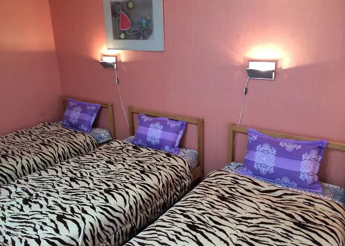 호스텔 Comeinn Hongdae - Female Only