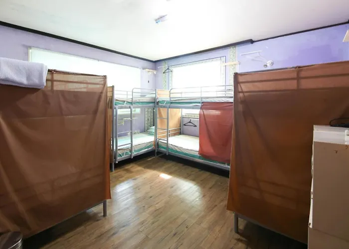 호스텔 Comeinn Hongdae - Female Only 서울특별시