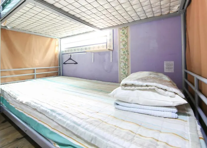 Comeinn Hongdae - Female Only 호스텔 *