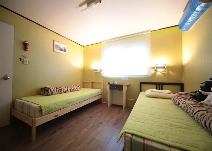 Comeinn Hongdae - Female Only 호스텔 서울특별시
