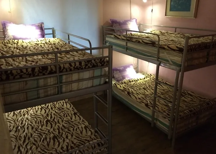 Comeinn Hongdae - Female Only 호스텔 서울특별시